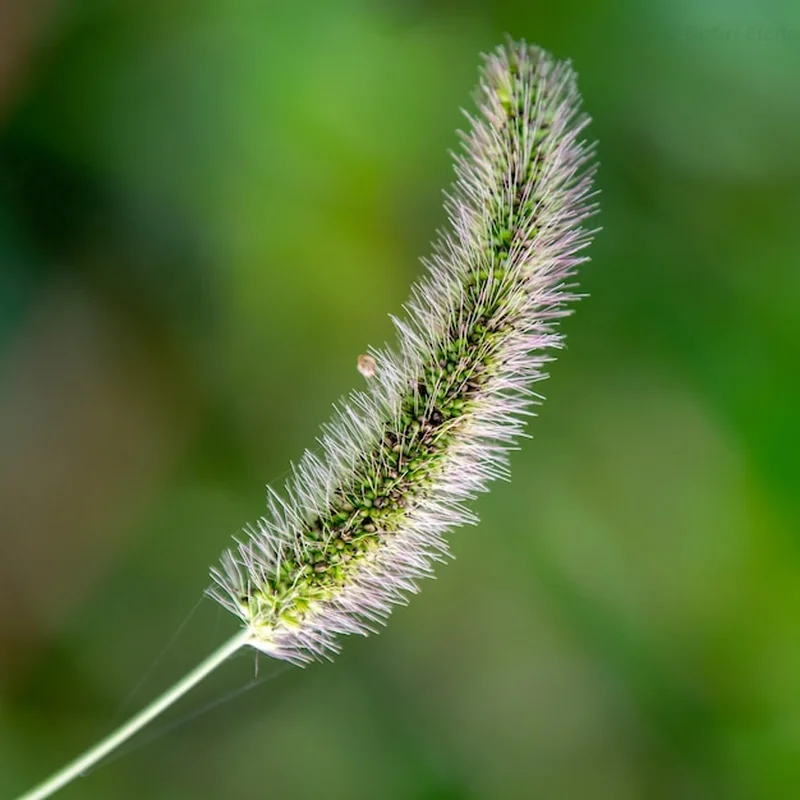 Hebe zwroty w sklepie stacjonarnym – jak to zrobić?