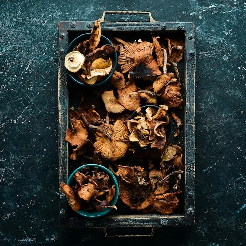 Jak suszyć grzyby w piekarniku z termoobiegiem? Porady